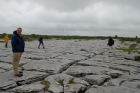 Sheshymore Limestone pavement exposes shallow water carbonates of the Brigantian, Slievenaglasha Formation. These classic kharstified exposures of tabular blocks of limestone pavement, Clints, are cut by vertical fractures, Grikes, which were widened by post glacial disolution (McNamara, & Hennessy, 2010). Fractures were intially established during Variscan folding (Coller, 1984).